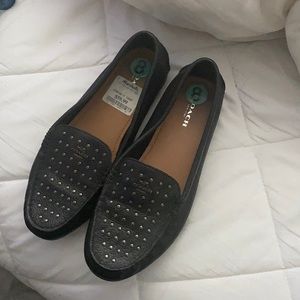 Nice coach flats